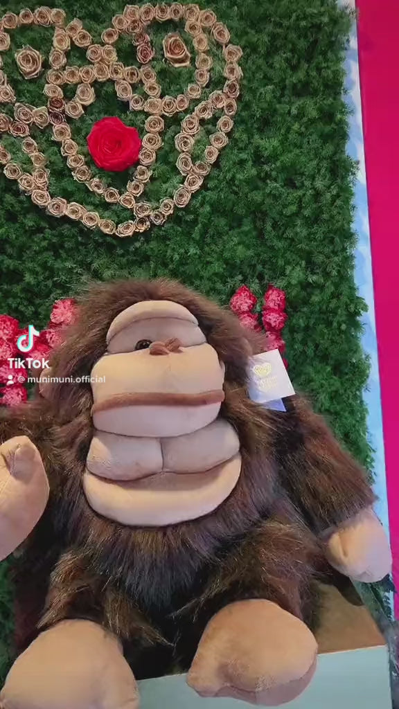 video Muni muni peluche gorila deluxe grande chocolate